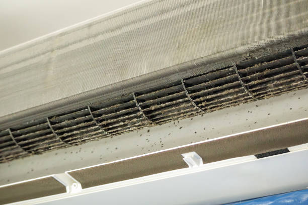 Best Local Air Duct Cleaning Services  in Hillsdale, NJ